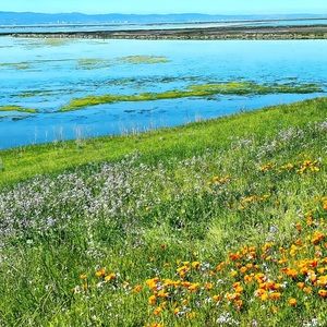 Meet your Posher, Alekhya